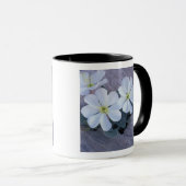 NA, USA，ユタ，アルシュNP,夕べ マグカップ (正面右)