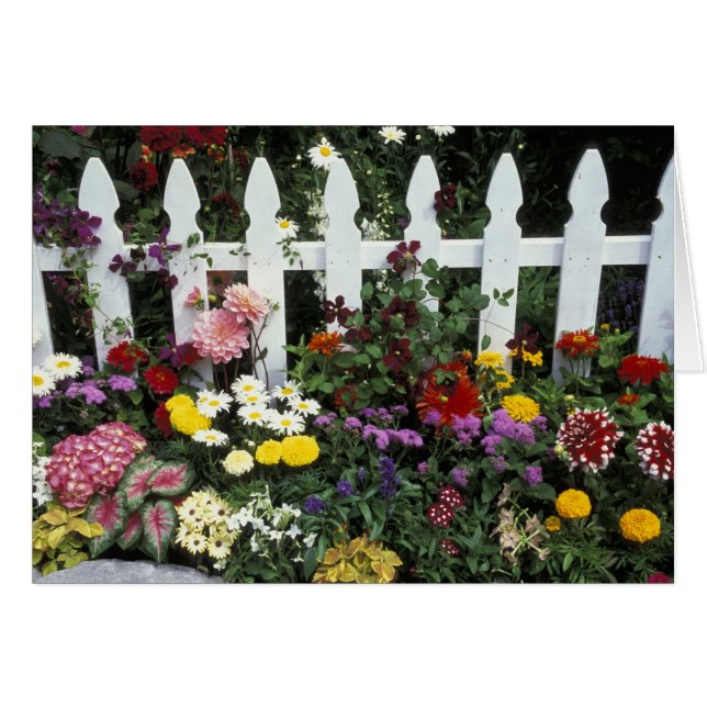 NA、USA、ワシントン、サマミッシュ、ホワイトピケット (正面横)