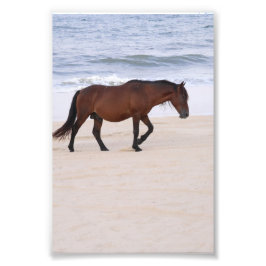 Nag on theビーチ、Outer Banks North Carolina フォトプリント