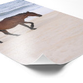 Nag on theビーチ、Outer Banks North Carolina フォトプリント (角)