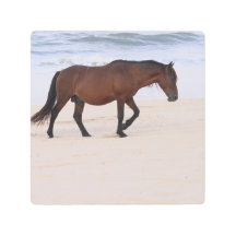 Nag on theビーチ、Outer Banks North Carolina