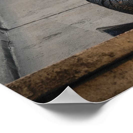 Nagini & Credenceの写真 ポスター (角)