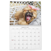 Nala シーツゥー かわいい仔犬  カレンダー (3月 2027)