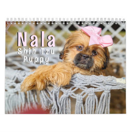 Nala シーツゥー かわいい仔犬  カレンダー