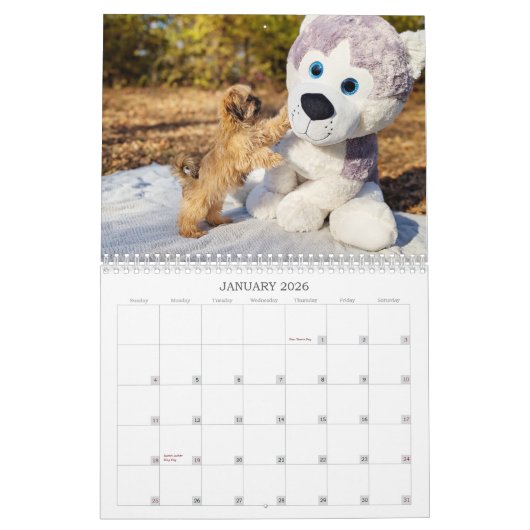 Nala Shih Tzu Cutest Puppy  カレンダー (1月 2026)