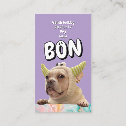 NameCard 6 名刺 (正面)