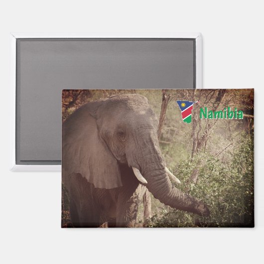 Namibia マグネット (正面/裏面)