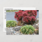 Nandinaおよびアガパンサス属 案内ポストカード (正面/裏面)