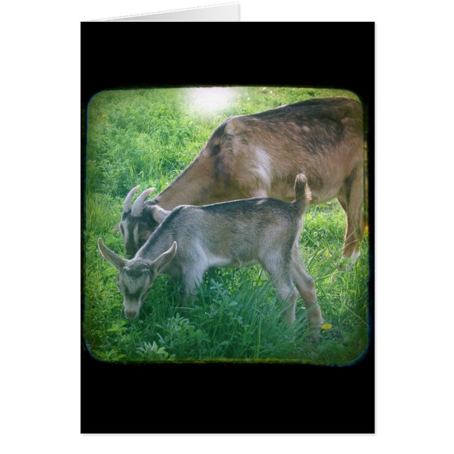 NannyとKId (正面)