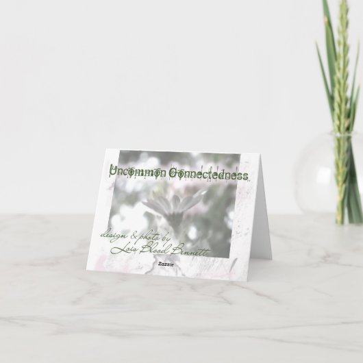 Nantucketの日没 カード (裏面)