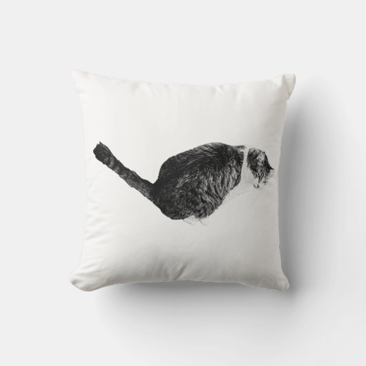 Nap Mood, Gentle Texture クッション (正面)