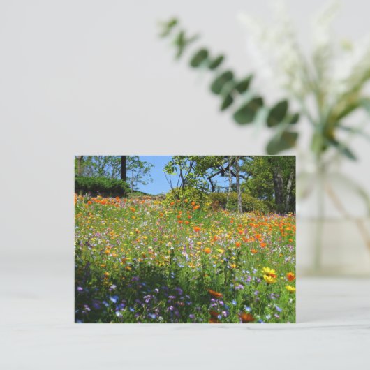 Napaの野生の花カード ポストカード (スタンド正面)