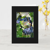 Napaカードのブドウ カード (黄色い花)