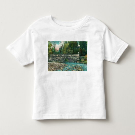 Napa郡BridgeNapa、カリフォルニアの眺め トドラーTシャツ (正面)