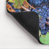 Napa Valleyの収穫のマウスパッド マウスパッド (コーナー)