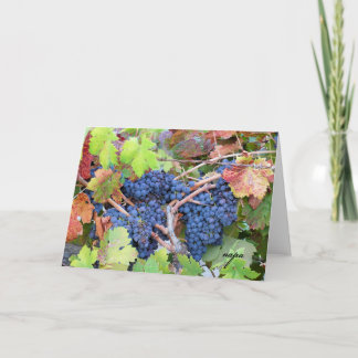 Napa Valleyの収穫の挨拶状 カード