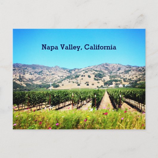 Napa Valley、カリフォルニアの郵便はがき ポストカード (正面)