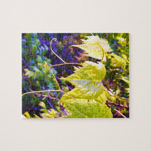 Napa Valley ジグソーパズル (横)