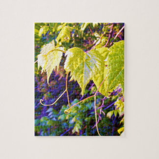 Napa Valley ジグソーパズル