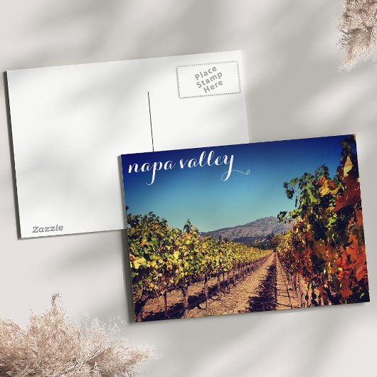 Napa Valley Autumn Harvest Vineyard Postcard ポストカード