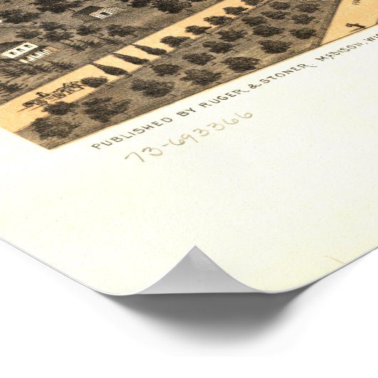 Naperville Illinois 1869 Antique Panoramic Map ポスター (角)