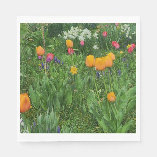 Napkins スタンダードランチョンナプキン (正面)