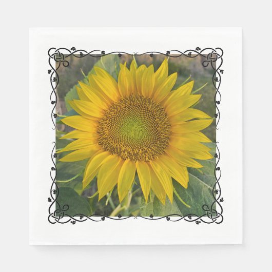 Napkins スタンダードランチョンナプキン (正面)