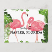 Naples, Floridaポストカードからの挨拶 ポストカード (正面)