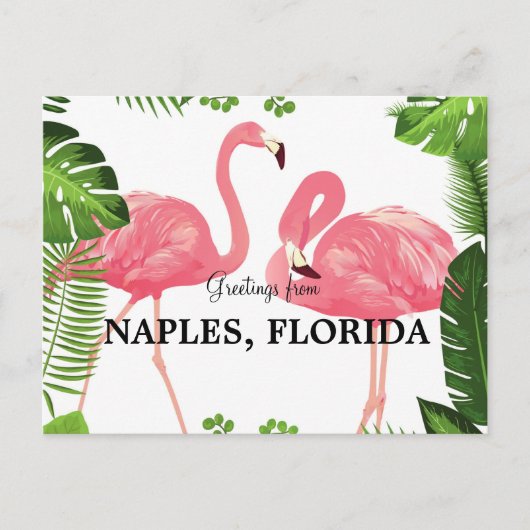 Naples, Floridaポストカードからの挨拶 ポストカード (正面)