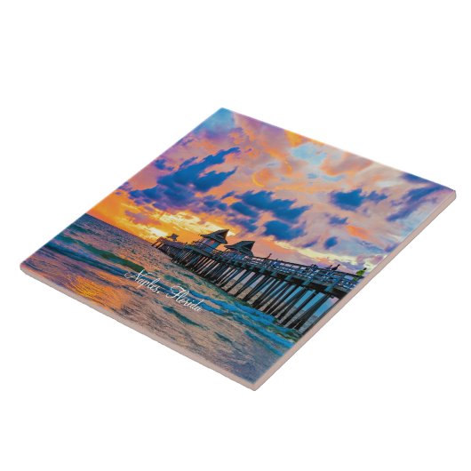 Naples, Florida タイル (側面)