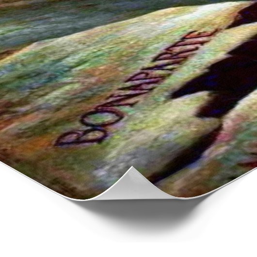 Napoleon Bonaparte ポスター (角)