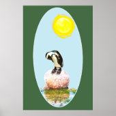 Napping Penguin in the Sun ポスター (正面)