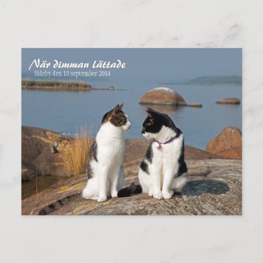 NarディムマンレタードCC0547サイドバイポストカード ポストカード (正面)