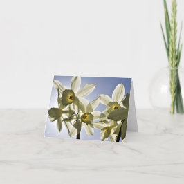 Narcissen die bloeien met een lente blauwe lucht サンキューカード