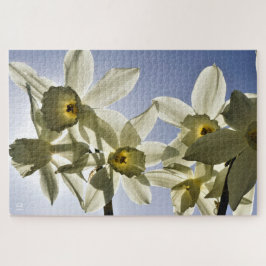 Narcissen die bloeien met een lente blauwe lucht ジグソーパズル