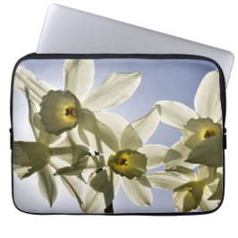 Narcissen die bloeien met een lente blauwe lucht  ラップトップスリーブ