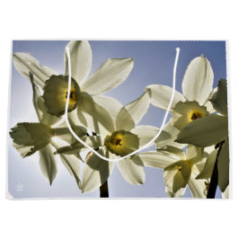 Narcissen die bloeien met een lente blauwe lucht  ラージペーパーバッグ