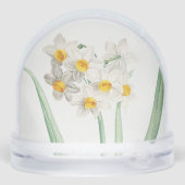 Narcissus, Pierre-Joseph Redouté, 1805 (裏面)