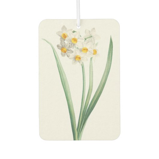 Narcissus, Pierre-Joseph Redouté, 1805 カーエアーフレッシュナー (正面)