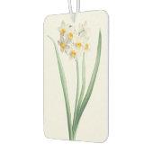 Narcissus, Pierre-Joseph Redouté, 1805 カーエアーフレッシュナー (左)