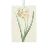 Narcissus, Pierre-Joseph Redouté, 1805 カーエアーフレッシュナー (裏面)