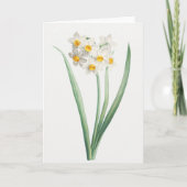 Narcissus, Pierre-Joseph Redouté, 1805 カード (正面)