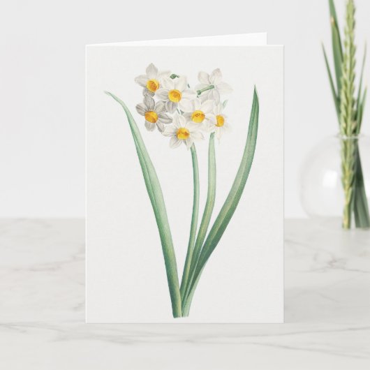 Narcissus, Pierre-Joseph Redouté, 1805 カード (正面)
