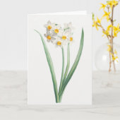 Narcissus, Pierre-Joseph Redouté, 1805 カード (黄色い花)