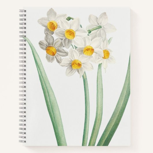 Narcissus, Pierre-Joseph Redouté, 1805 ノートブック (正面)