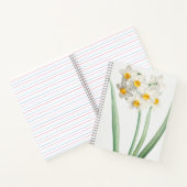 Narcissus, Pierre-Joseph Redouté, 1805 ノートブック (内部)