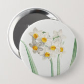 Narcissus, Pierre-Joseph Redouté, 1805 缶バッジ (正面&裏面)