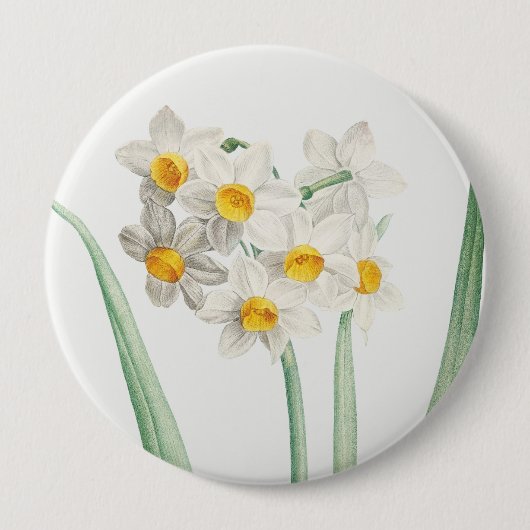 Narcissus, Pierre-Joseph Redouté, 1805 缶バッジ (正面)