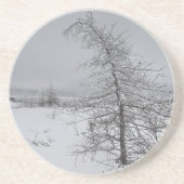 Narnia コースター (正面)