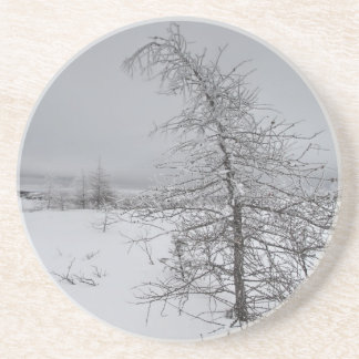 Narnia コースター